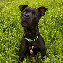 Thumbnail photo of Jaylee #1