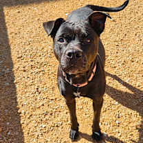 Thumbnail photo of Jaylee #2