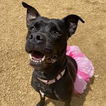 Thumbnail photo of Jaylee #3