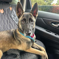 Thumbnail photo of Skadi (fka Debbie Harry) #1