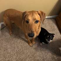 Thumbnail photo of Margo #4