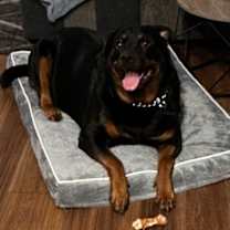 Thumbnail photo of Kane #3