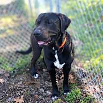 Thumbnail photo of Gage #2