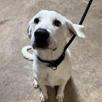 Thumbnail photo of Max $450 #2