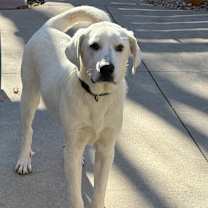 Thumbnail photo of Max $450 #3