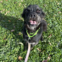 Thumbnail photo of Conrad #2