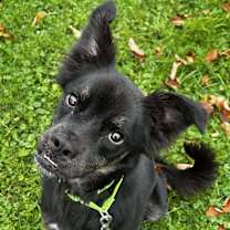 Thumbnail photo of Conrad #3