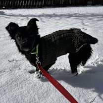 Thumbnail photo of Conrad #4