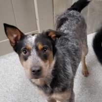 Thumbnail photo of Dorothy #3