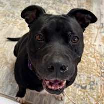 Thumbnail photo of Betty #2