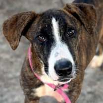 Thumbnail photo of Serena #2