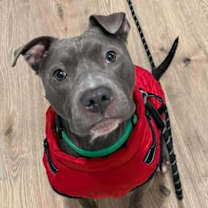 Thumbnail photo of Casper #1