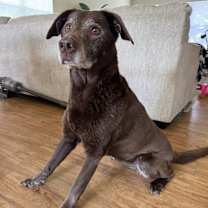 Thumbnail photo of Mia #2