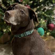 Thumbnail photo of Mia #3