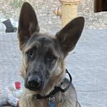 Thumbnail photo of Jerry lee #1