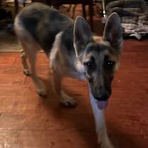 Thumbnail photo of Jerry lee #3