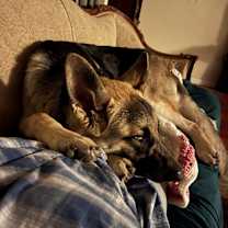 Thumbnail photo of Jerry lee #4