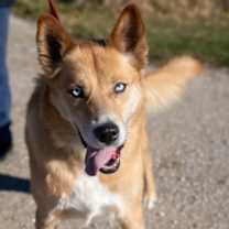 Thumbnail photo of Gus #2