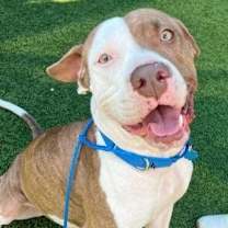 Thumbnail photo of Summer #1