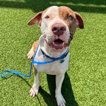 Thumbnail photo of Summer #2