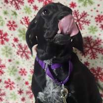 Thumbnail photo of Phillip $500 #2