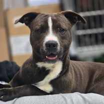 Thumbnail photo of Maverick #1