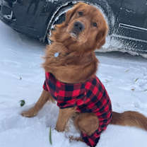 Thumbnail photo of Ryder #7314 #2