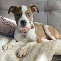 Thumbnail photo of Nyla #2