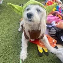 Thumbnail photo of Casper #2