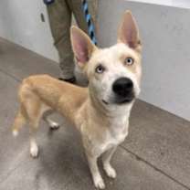 Thumbnail photo of Magick #1