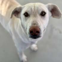 Thumbnail photo of Wunny Sharbit #2