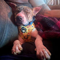 Thumbnail photo of Full on Monet #4