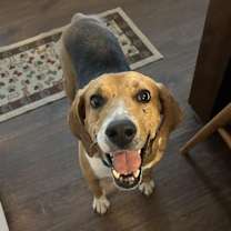 Thumbnail photo of LEO #1