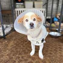 Thumbnail photo of Epel #1