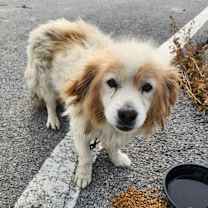 Thumbnail photo of Epel #3