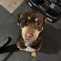 Thumbnail photo of Marty #2