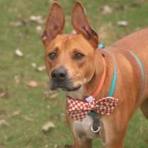 Thumbnail photo of LIAM #1