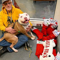 Thumbnail photo of DI 84 Zeus #2