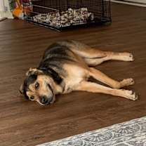 Thumbnail photo of Riley #2