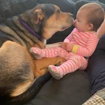 Thumbnail photo of Riley #3