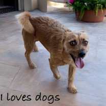 Thumbnail photo of Ranger #1