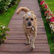 Thumbnail photo of Ranger #2