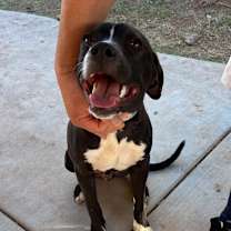 Thumbnail photo of *** Max #1