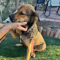 Thumbnail photo of *** Nadine #3