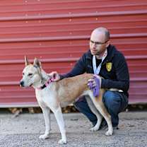 Thumbnail photo of Jessie #3