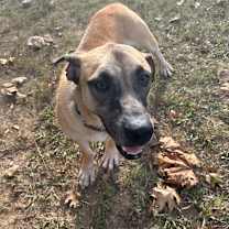 Thumbnail photo of Thumper #1