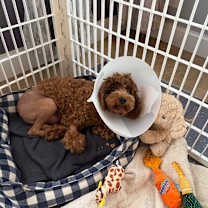 Thumbnail photo of Kash Monee Mernar #4