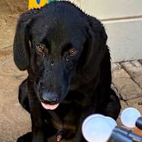 Thumbnail photo of MAVERICK #3