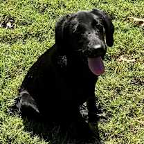 Thumbnail photo of MAVERICK #4