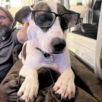 Thumbnail photo of George #3